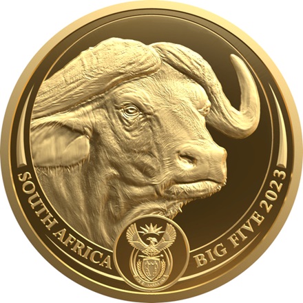 Zlatá mince 1/4 oz Bůvol Big Five Serie II PROOF 2023 – South African Mint