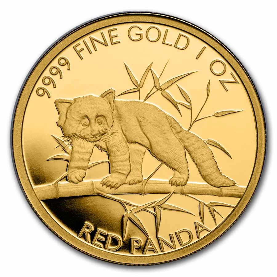 1 oz zlatá mince Red Panda 2023 Brilliant Uncirculated - Čad