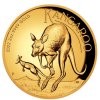 Investicni zlato Kangaroo2022 2oz HR R1