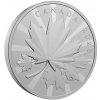 Investicni stribro Maple Leaf Multifaceted 2023 1kg R1