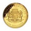 Investicni zlato Somalsky Slon 2023 5oz L