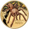 2020 Gold Tarantula 1 oz VS