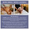 Hotel Horal Lanterna