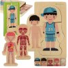 Puzzle drewniane warstwowe budowa ciala montessori chlopiec 169176