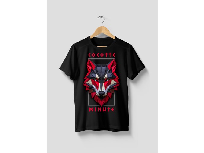 VLK 5.2.1. KRÁL TRIKO