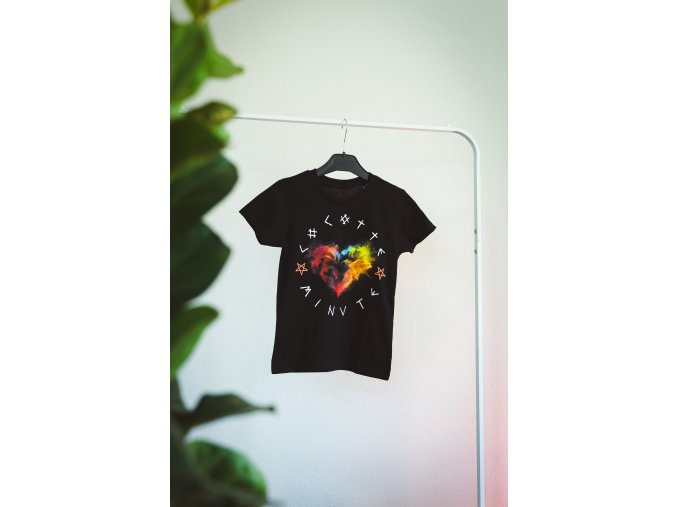 SRDCE (zllobidla a zllatíčka)