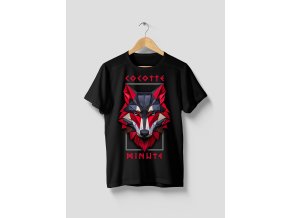 VLK 5.2.1. KRÁL TRIKO