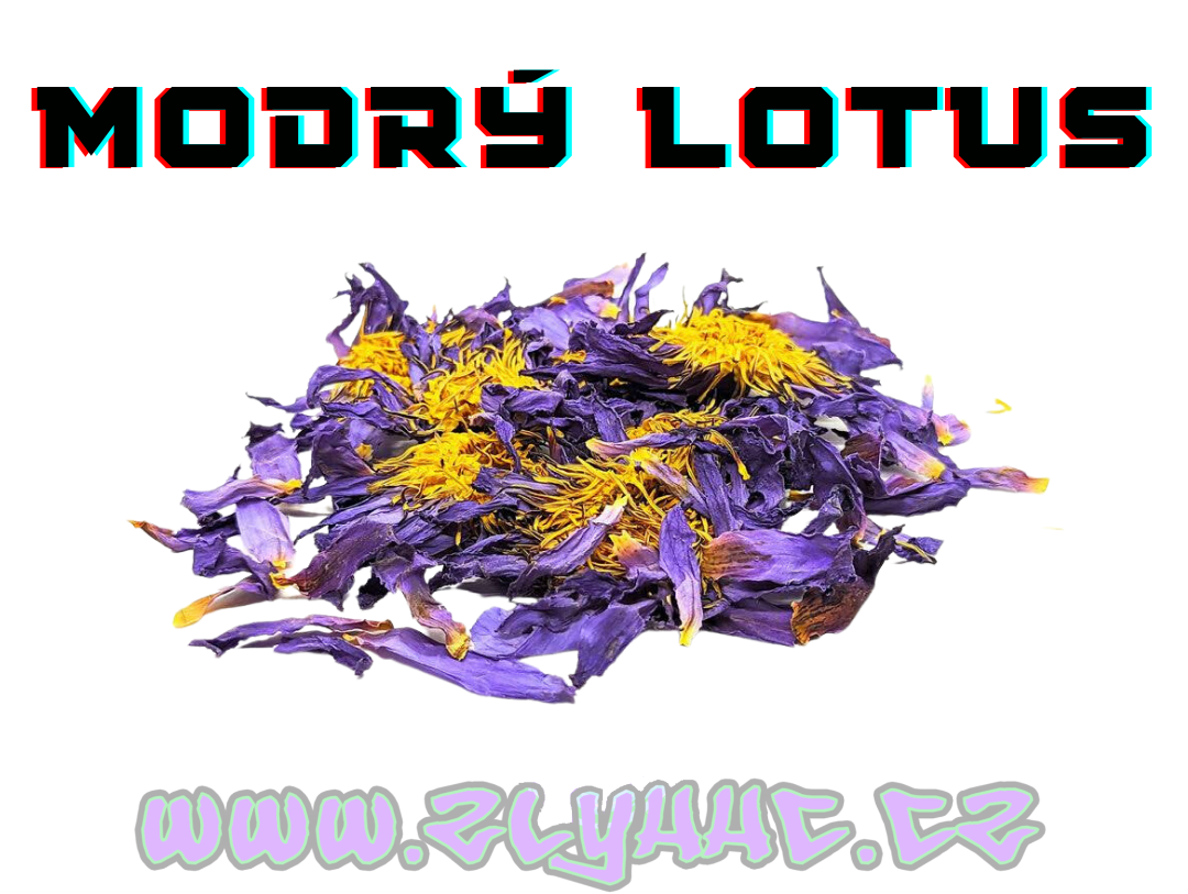 Co je Modrý lotus?