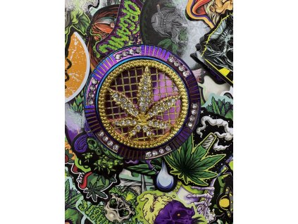 Drtička list třpitivá