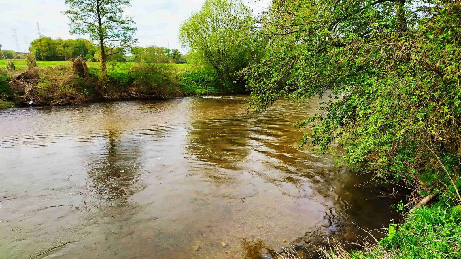 Rybolov na jaře a ochrana přírody