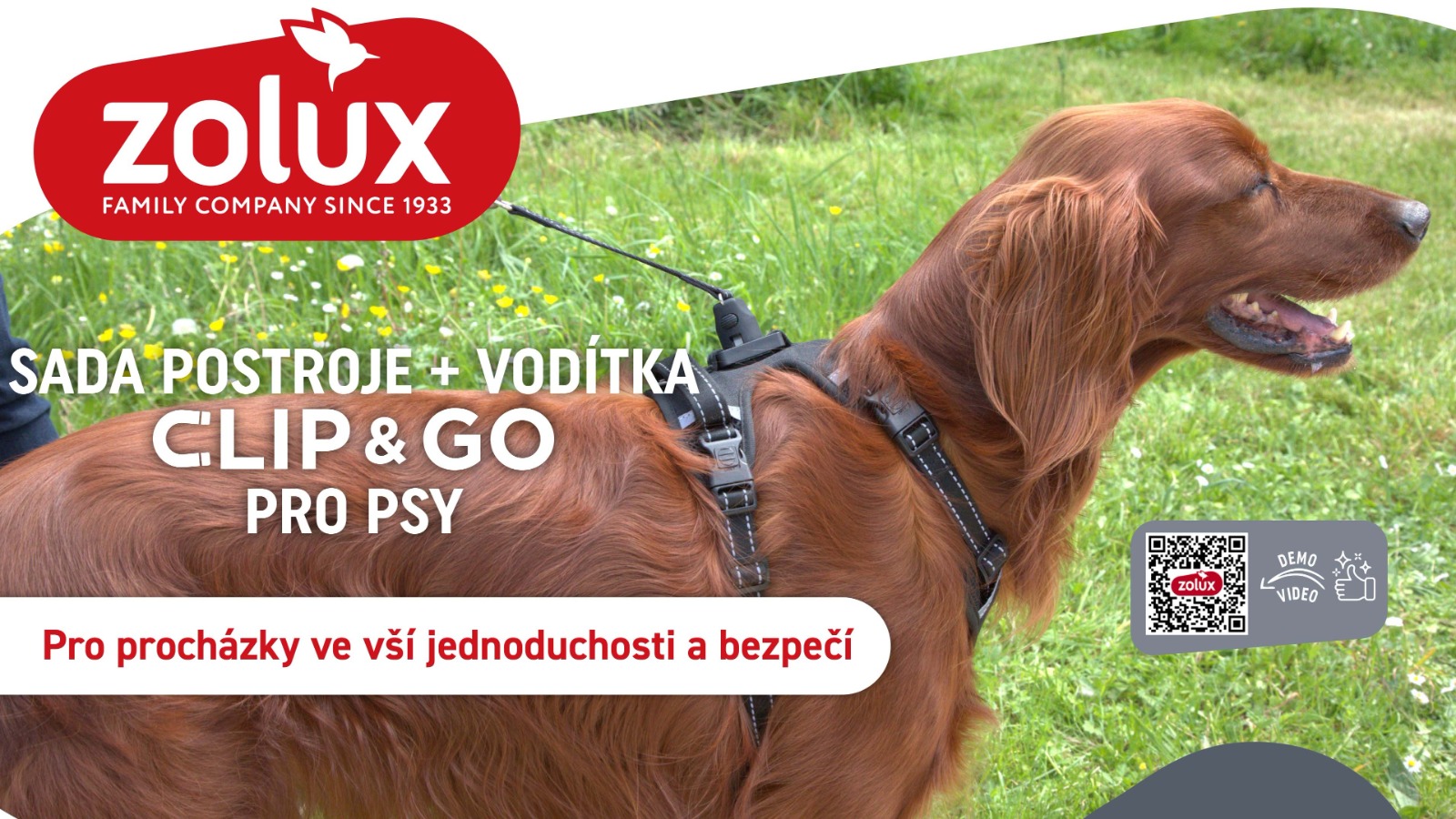 CLIP&GO ZOLUX chytré venčení