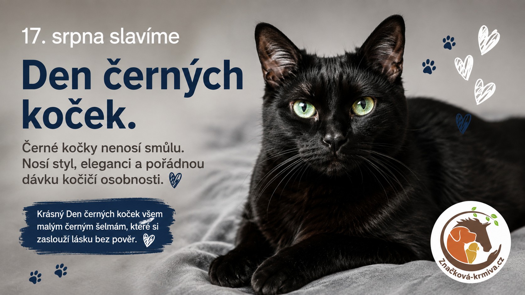 Den černých koček 17. srpna – černé kočky nenosí smůlu