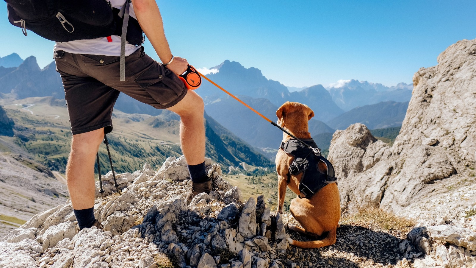 Flexi samonavíjecí vodítka pro psy