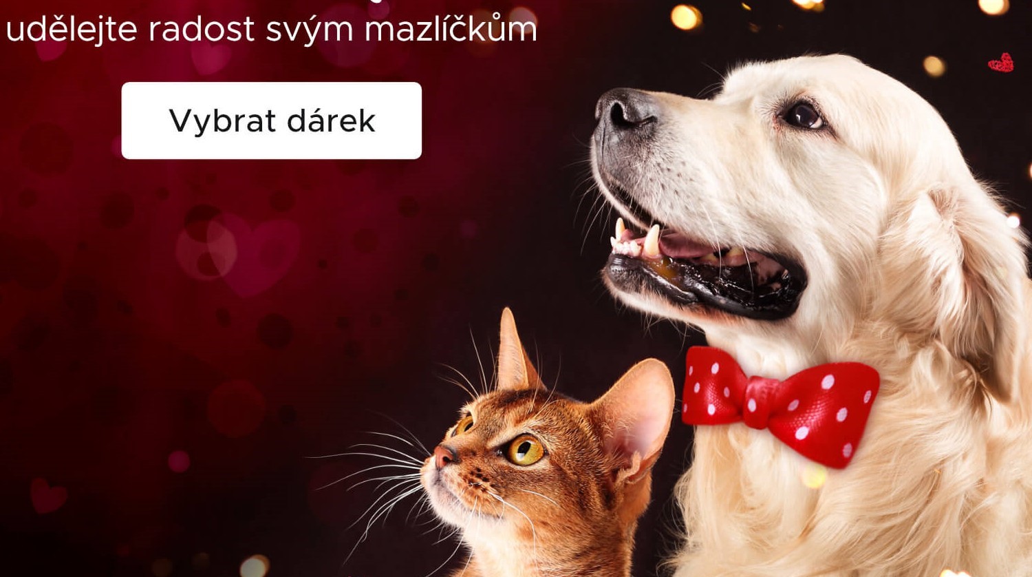 Valentýn u mazlíčků