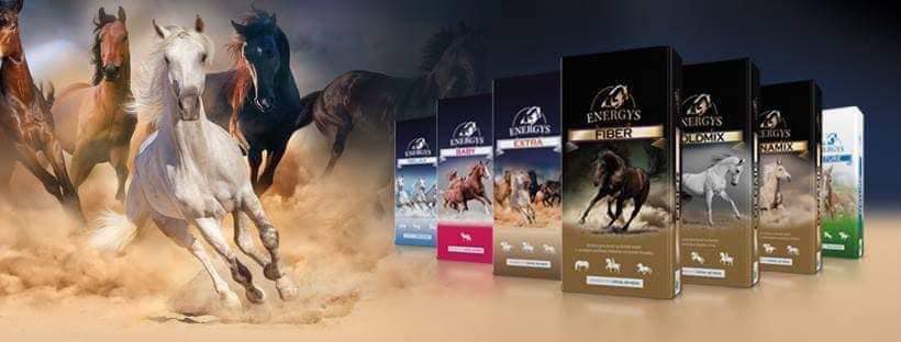 Energys horse