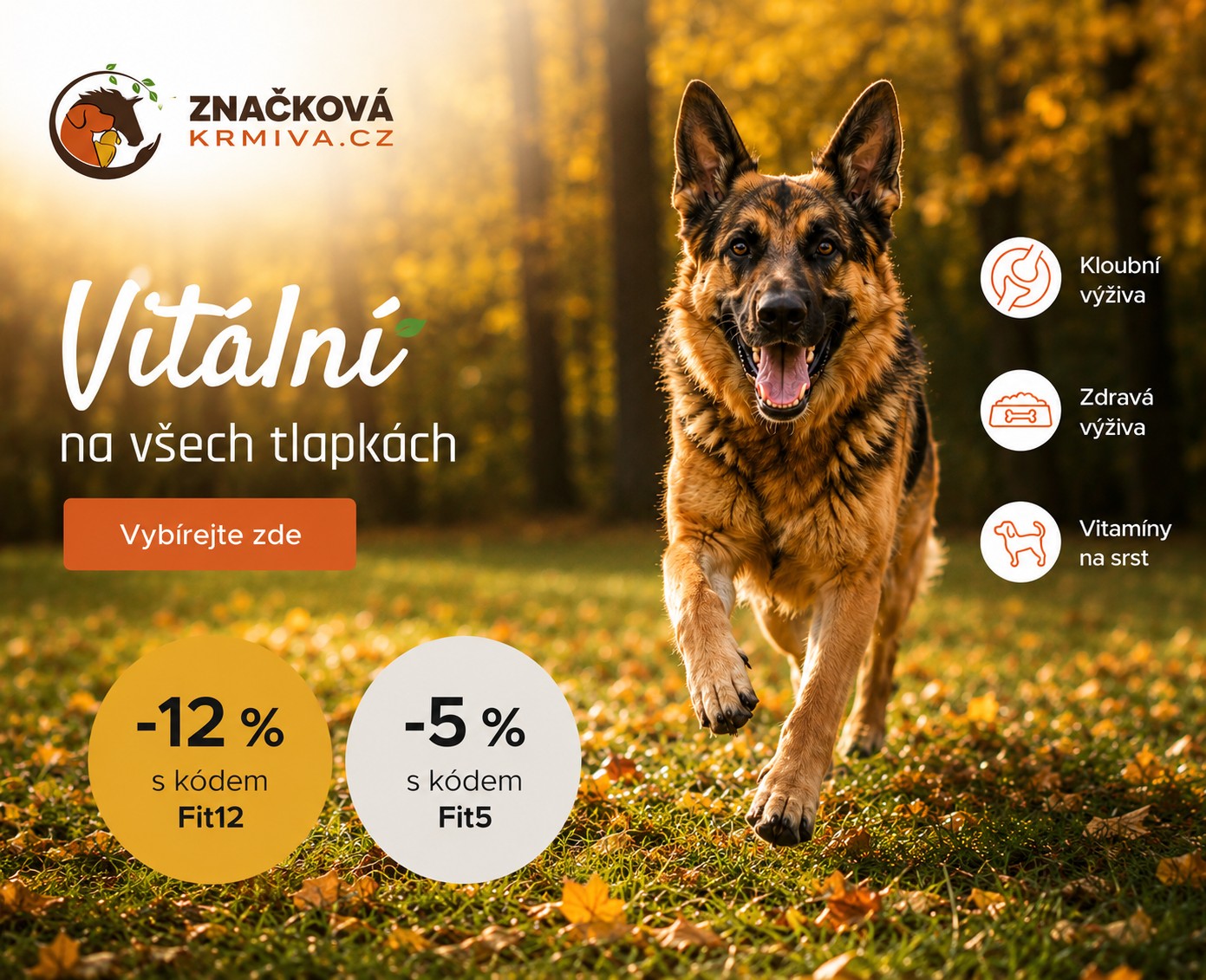 Vitalita psů - vlčák