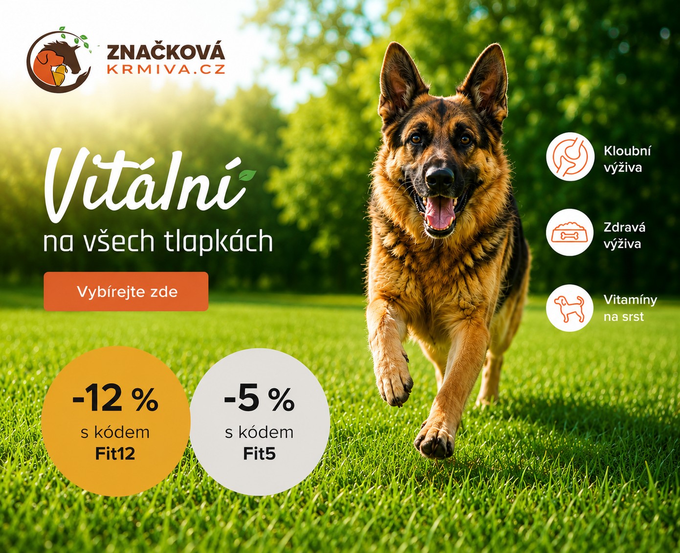 Vitalita psů - léto - vlčák