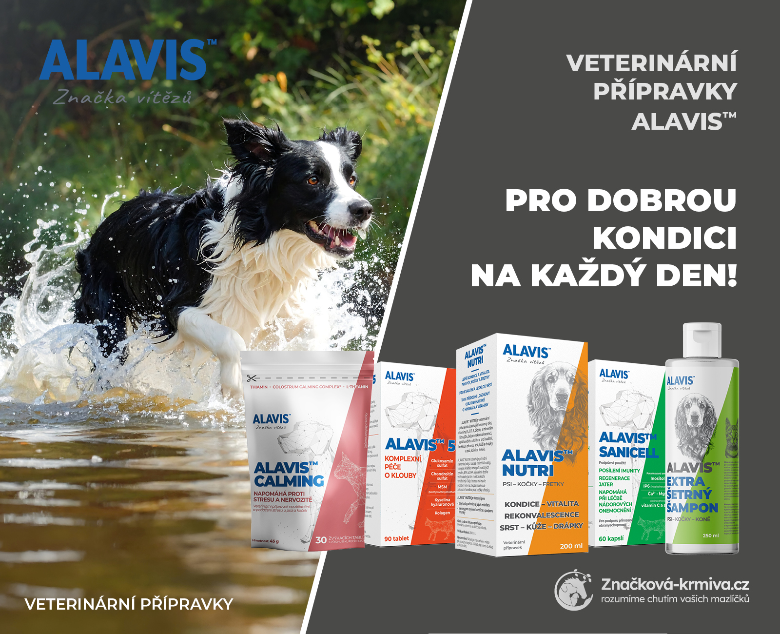 Alavis pro psy jaro léto