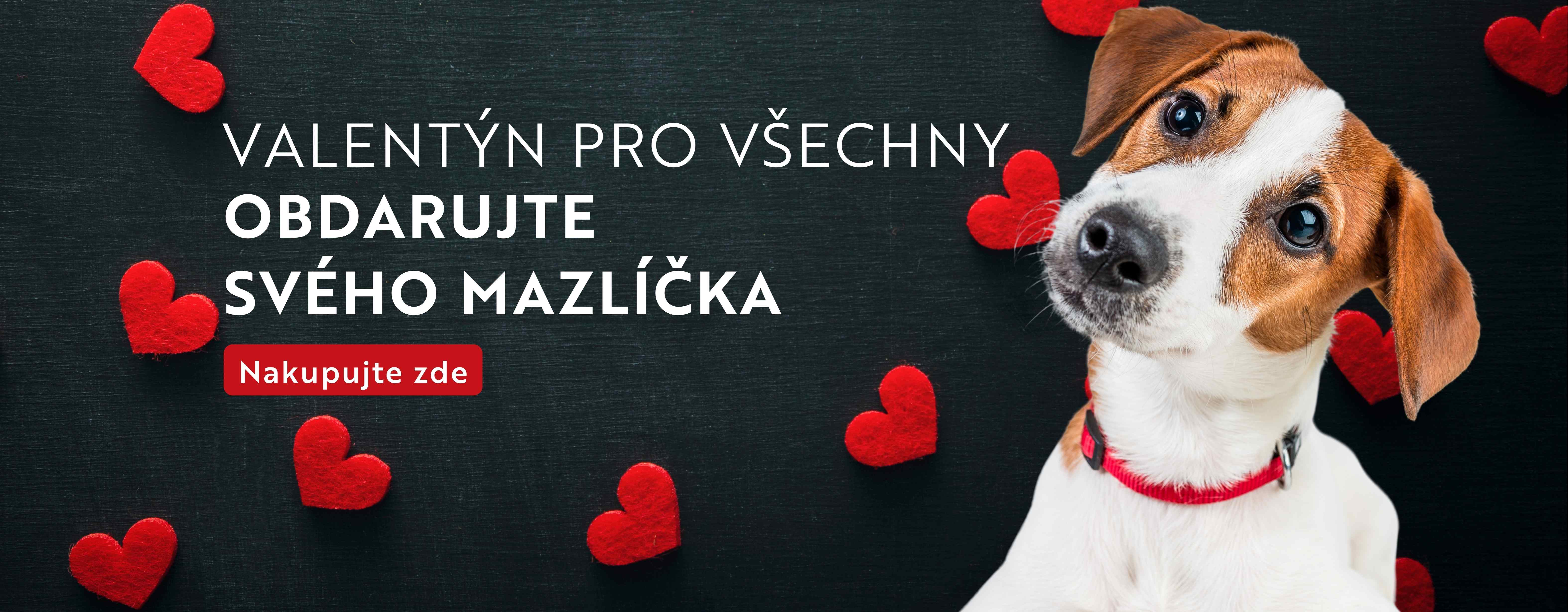 Valentýn