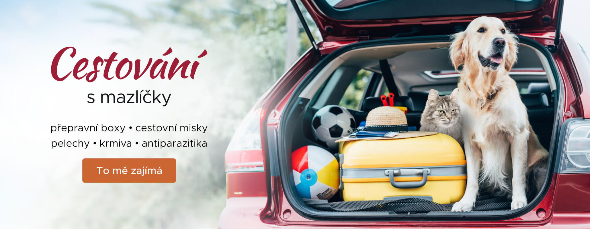 Cestování s mazlíčky
