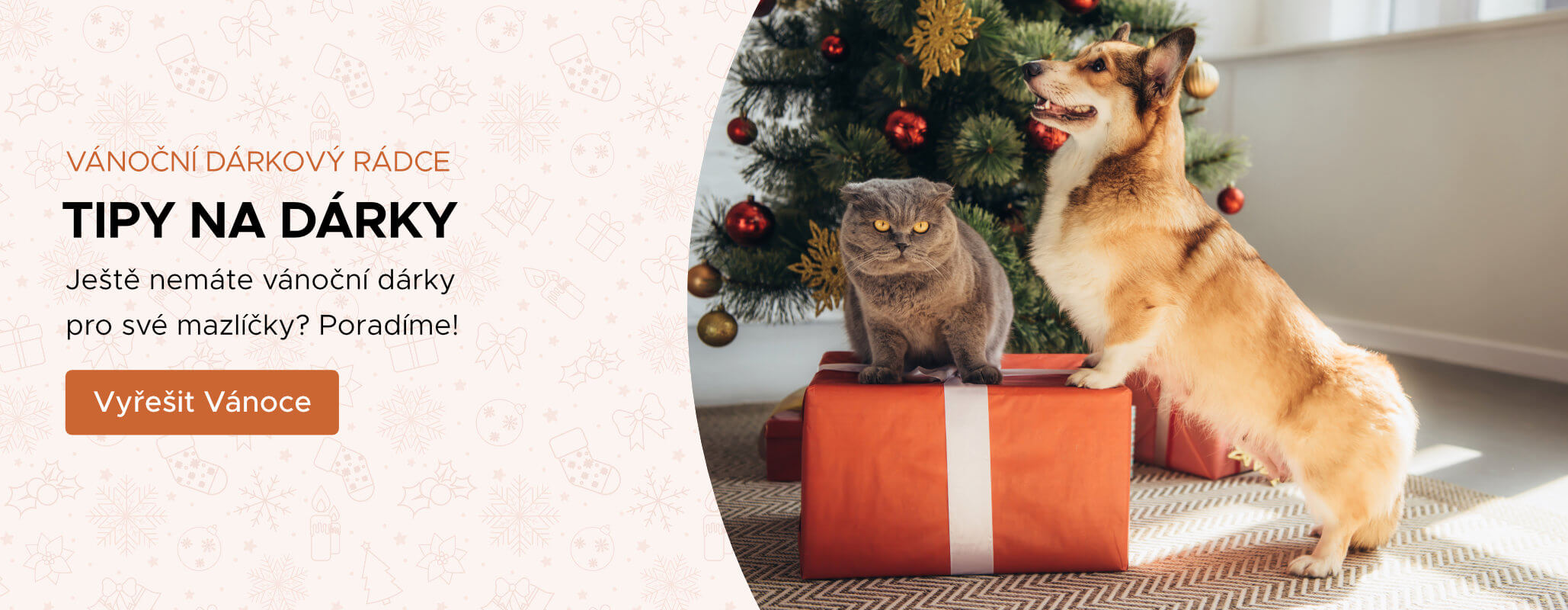 Vánoční dárkový rádce