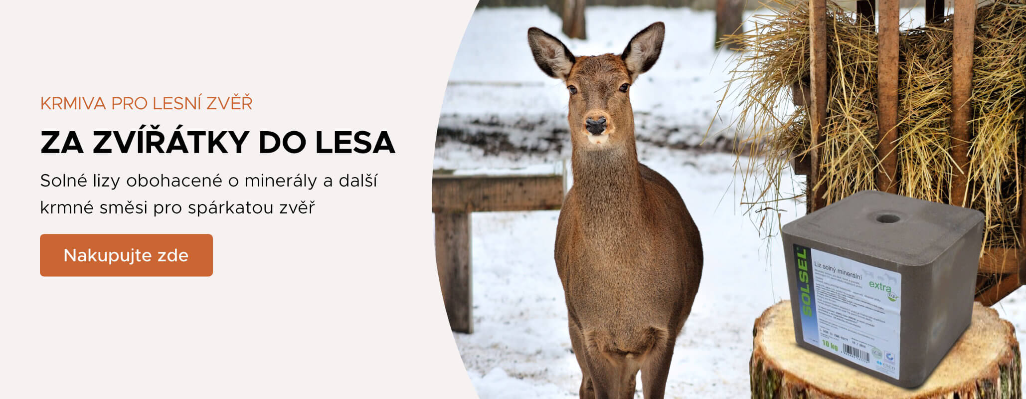 Za zvířátky do lesa