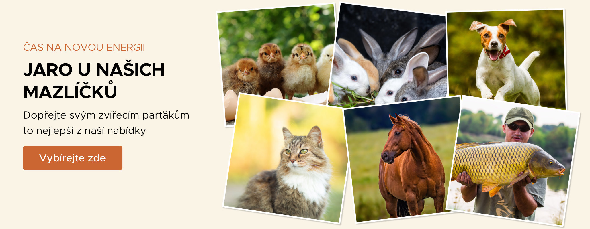 Jaro u našich mazlíčků 2025