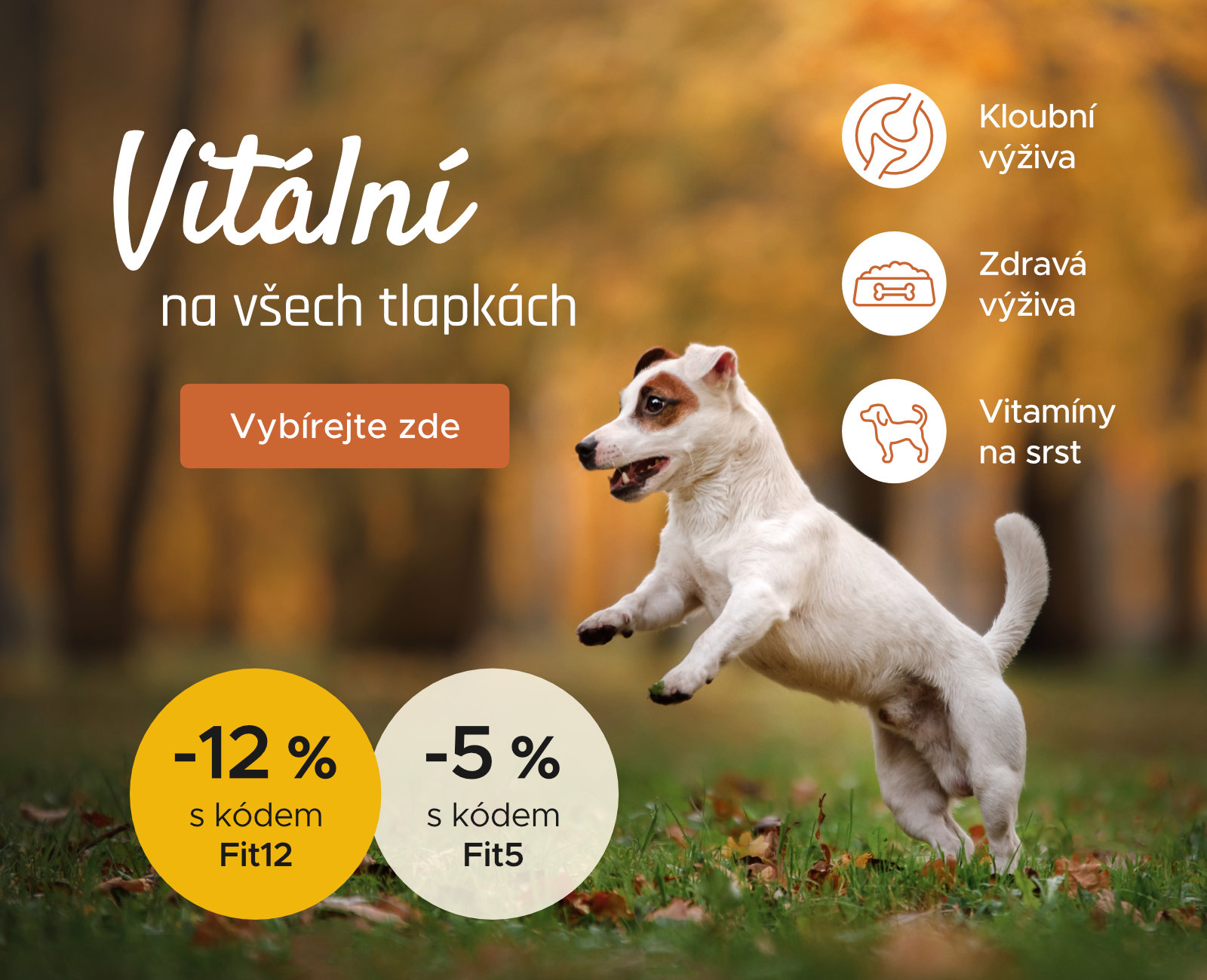 Vitalita psů