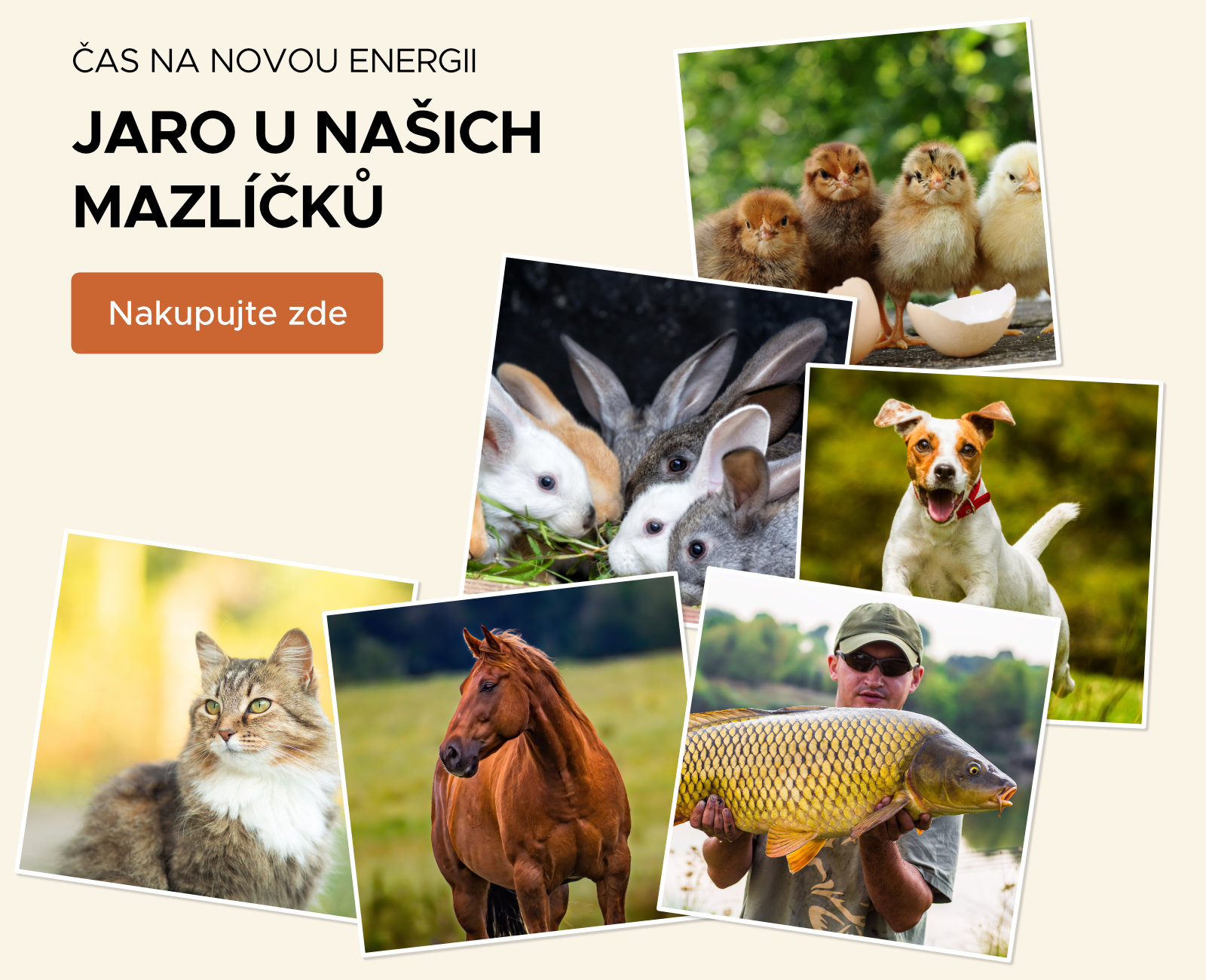 Jaro u našich mazlíčků 2025