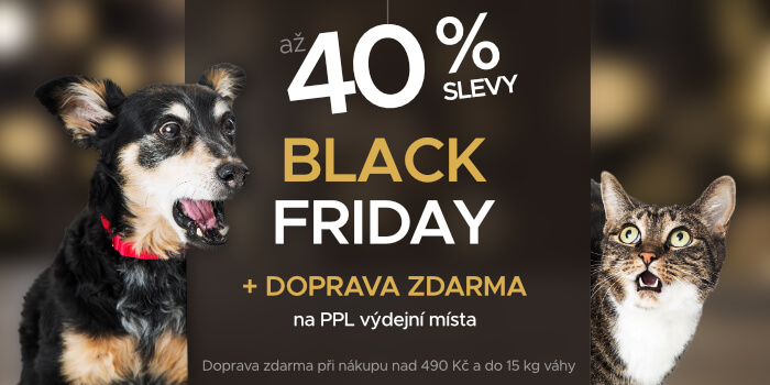Black Friday
