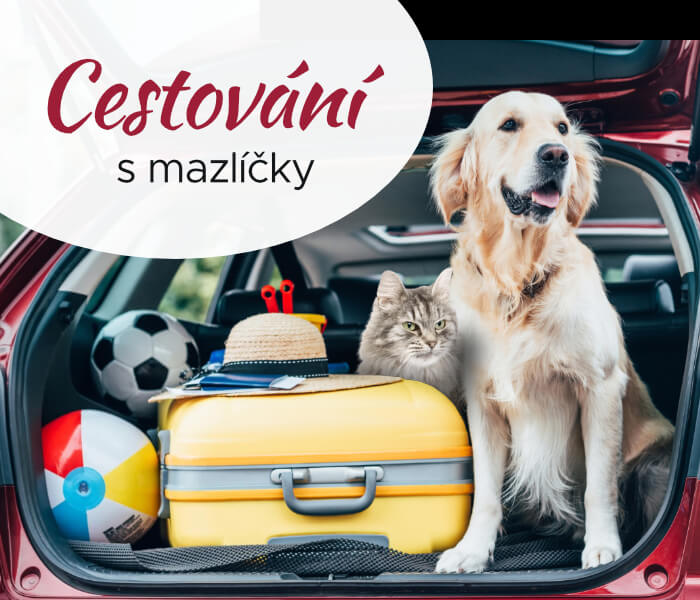 Cestování s mazlíčky