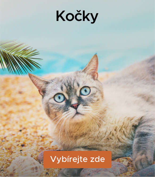 Krmiva a další produkty pro kočky