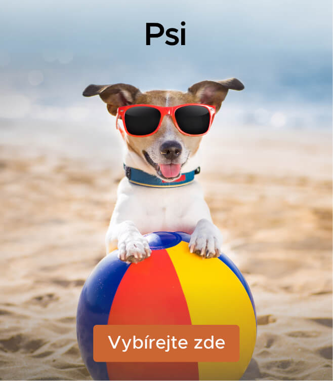 Krmiva a další produkty pro psy