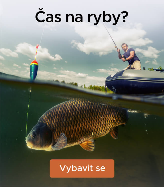 Vnadící směsi a krmiva pro ryby