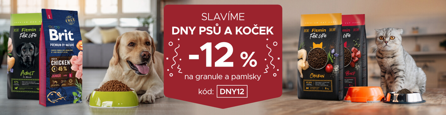 Slavíme dny psů a koček