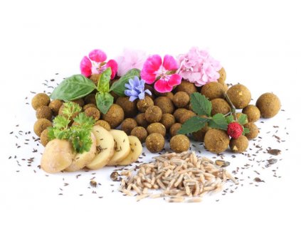 Boilies Brambora a červ 16 mm 1 kg