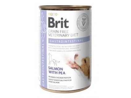 veterinární dieta pro psy konzerva Brit VD Dog GF Gastrointestinal 400g