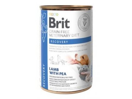 Brit VD Dog+Cat GF veterinární dieta konzerva Recovery 400g