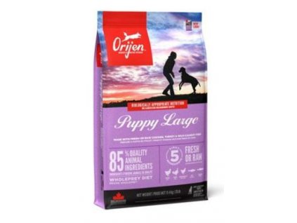 Orijen Dog Puppy Large 11,4kg NEW