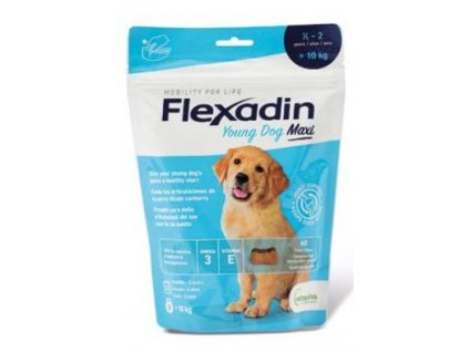 Flexadin Young Dog Maxi žvýkací 60tbl