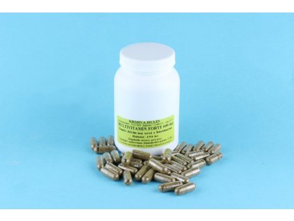 Multivitamín Forte s Biotinem na srst pro psy Tabl. 600 mg 150 ks