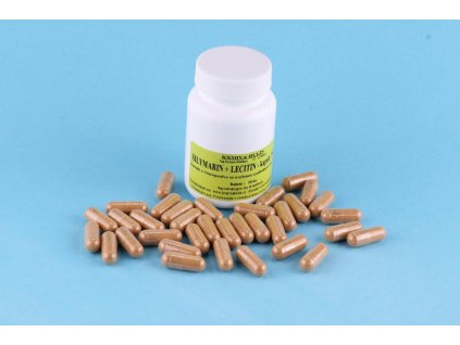 Silymarin 80% Extrakt z Ostropestřce plus Lecitin Tabl. 730 mg 90 ks