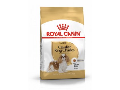 Royal Canin Breed Kavalír King Charles