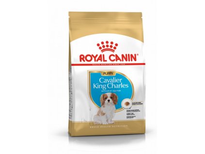 Royal Canin Breed Kavalír King Charles Junior