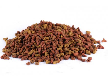 BARDOG Cat Food 30 na 10 dospělé kočky 1 kg