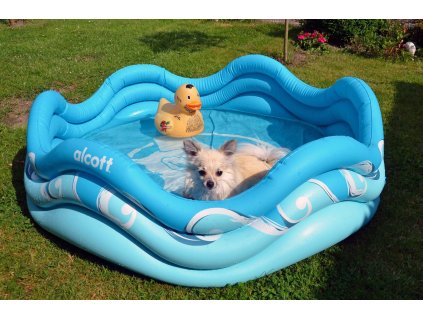 Alcott Nafukovací bazén pro psy modrý 121,9x40,6x121,9cm