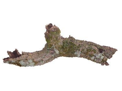 Lucky Reptile Korek Rustica 3-10 cm průměr, 30-50 cm dlouhé (ks)