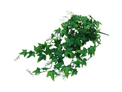 Lucky Reptile Jungle Plants Ivy Bush cca 50 cm