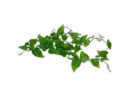 Lucky Reptile Jungle Vine Philo Vine cca 200 cm