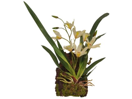 Lucky Reptile Jungle Plants kvetoucí Závěsná orchidej - bílá cca 20x30 cm